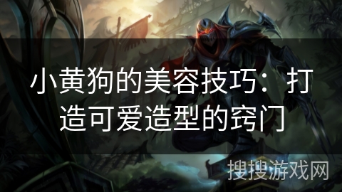 小黄狗的美容技巧:打造可爱造型的窍门 小黄狗的美容技巧:打造可爱造型的窍门