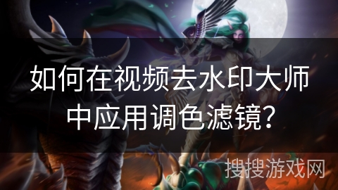 如何在视频去水印大师中应用调色滤镜？
