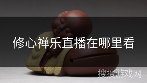 修心禅乐直播在哪里看