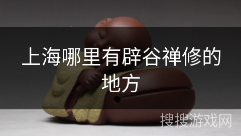 上海哪里有辟谷禅修的地方