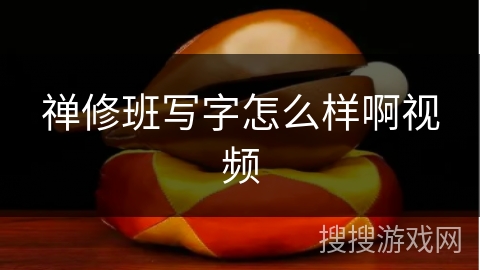 禅修班写字怎么样啊视频