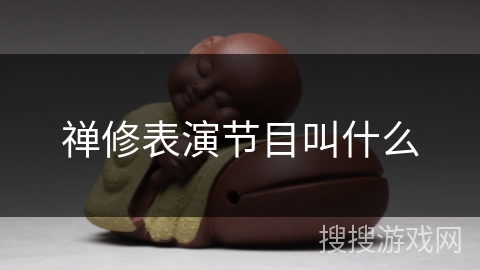 禅修表演节目叫什么