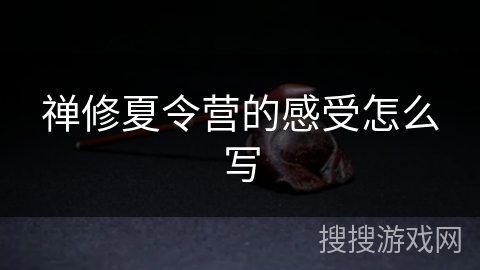 禅修夏令营的感受怎么写