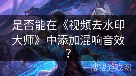 是否能在《视频去水印大师》中添加混响音效？