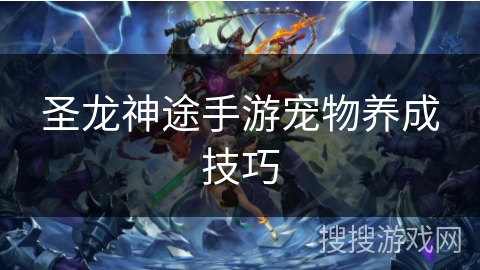 圣龙神途手游宠物养成技巧