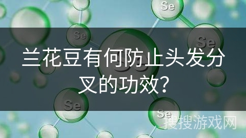 兰花豆有何防止头发分叉的功效？