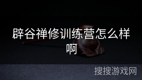 辟谷禅修训练营怎么样啊