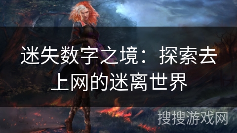 迷失数字之境：探索去上网的迷离世界