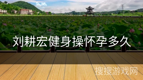 刘耕宏健身操怀孕多久 刘耕宏健身操怀孕多久