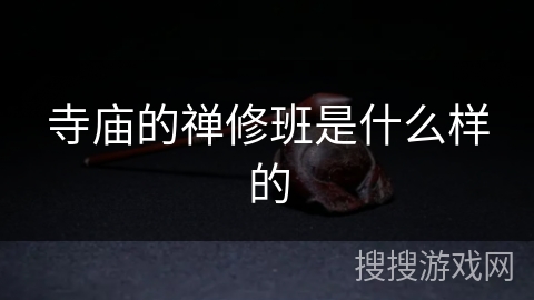 寺庙的禅修班是什么样的