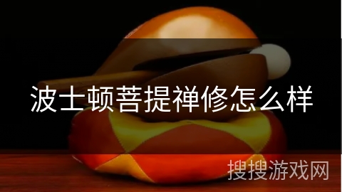 波士顿菩提禅修怎么样