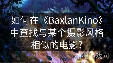 如何在《BaxlanKino》中查找与某个摄影风格相似的电影？