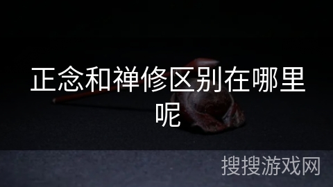 正念和禅修区别在哪里呢