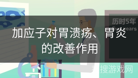加应子对胃溃疡、胃炎的改善作用