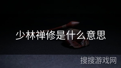 少林禅修是什么意思