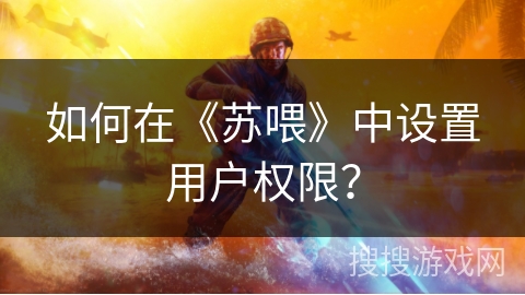 如何在《苏喂》中设置用户权限？