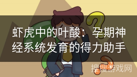 虾虎中的叶酸：孕期神经系统发育的得力助手