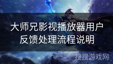 大师兄影视播放器用户反馈处理流程说明