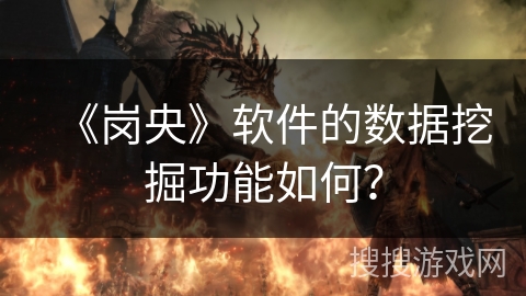 《岗央》软件的数据挖掘功能如何？