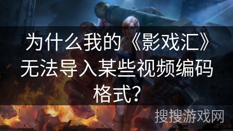 为什么我的《影戏汇》无法导入某些视频编码格式? 为什么我的《影戏汇》无法导入某些视频编码格式?