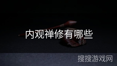 内观禅修有哪些