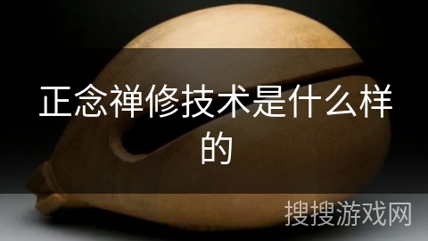 正念禅修技术是什么样的