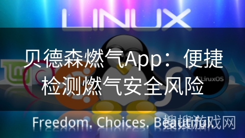 贝德森燃气App：便捷检测燃气安全风险
