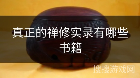 真正的禅修实录有哪些书籍