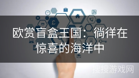 欧赏盲盒王国：徜徉在惊喜的海洋中