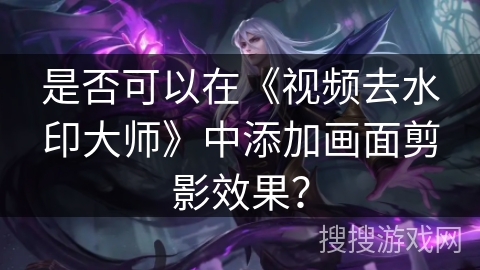 是否可以在《视频去水印大师》中添加画面剪影效果？