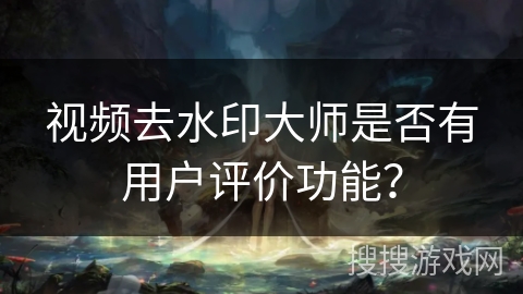 视频去水印大师是否有用户评价功能？