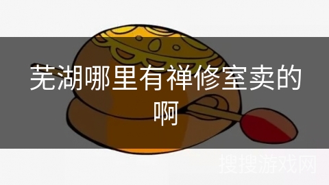 芜湖哪里有禅修室卖的啊