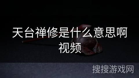 天台禅修是什么意思啊视频