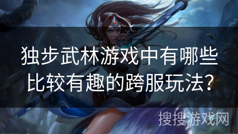 独步武林游戏中有哪些比较有趣的跨服玩法？