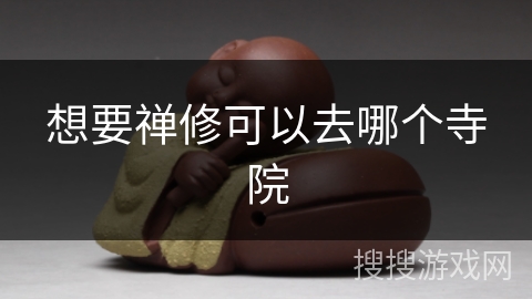 想要禅修可以去哪个寺院