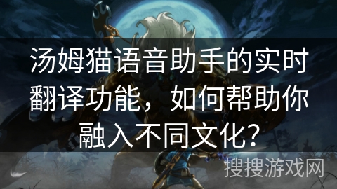 汤姆猫语音助手的实时翻译功能，如何帮助你融入不同文化？