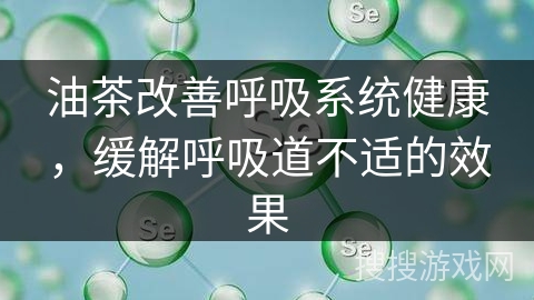 油茶改善呼吸系统健康，缓解呼吸道不适的效果