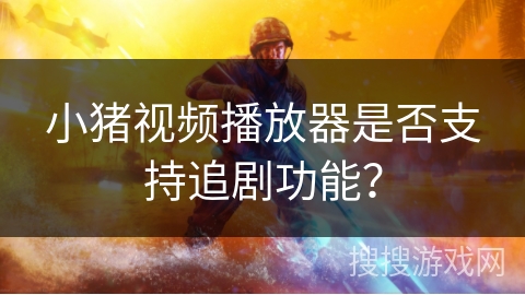 小猪视频播放器是否支持追剧功能？