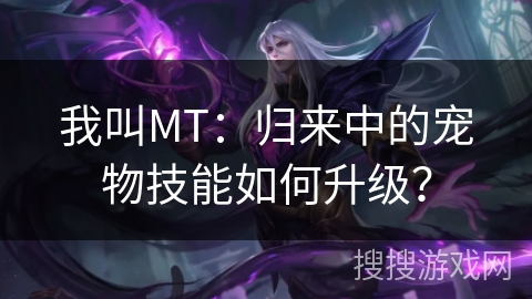 我叫MT：归来中的宠物技能如何升级？