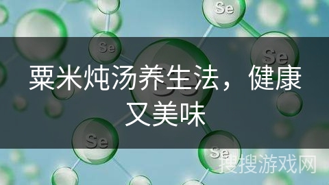 粟米炖汤养生法，健康又美味