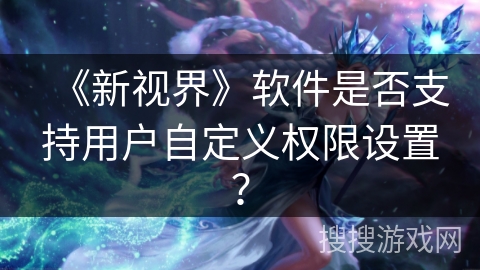 《新视界》软件是否支持用户自定义权限设置？