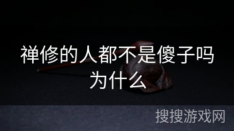 禅修的人都不是傻子吗为什么