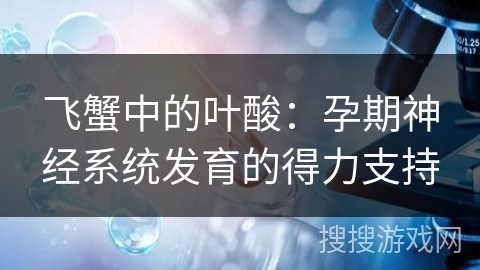 飞蟹中的叶酸：孕期神经系统发育的得力支持