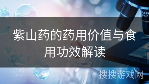 紫山药的药用价值与食用功效解读