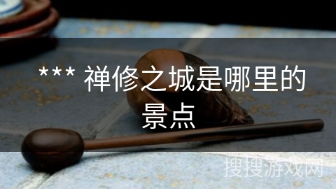  *** 禅修之城是哪里的景点