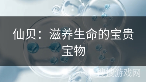 仙贝：滋养生命的宝贵宝物