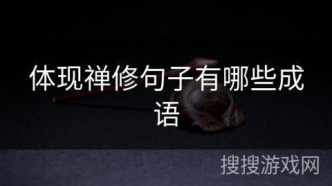 体现禅修句子有哪些成语