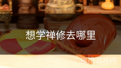 想学禅修去哪里