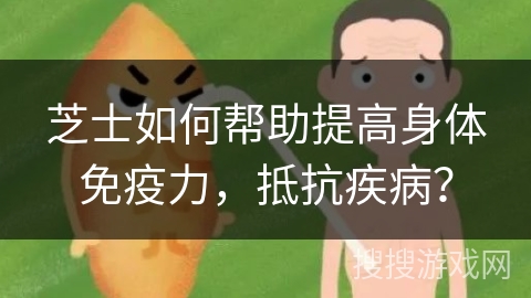 芝士如何帮助提高身体免疫力，抵抗疾病？