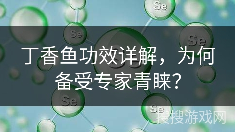 丁香鱼功效详解，为何备受专家青睐？